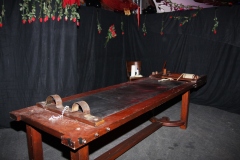 IMG-1460